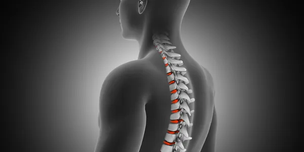 Ilustração da coluna vertebral e dos discos