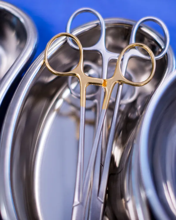 Pinças cirúrgicas em cuba de inox